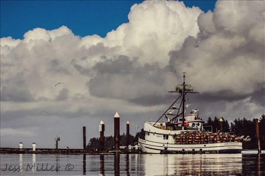 Charleston Oregon marina.

Cape Sebastian. 