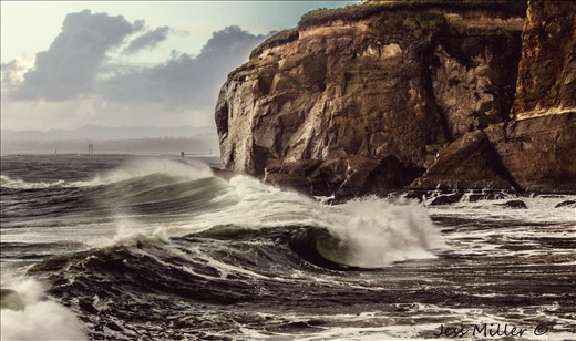 Waves 

Coos Head in Oregon. 