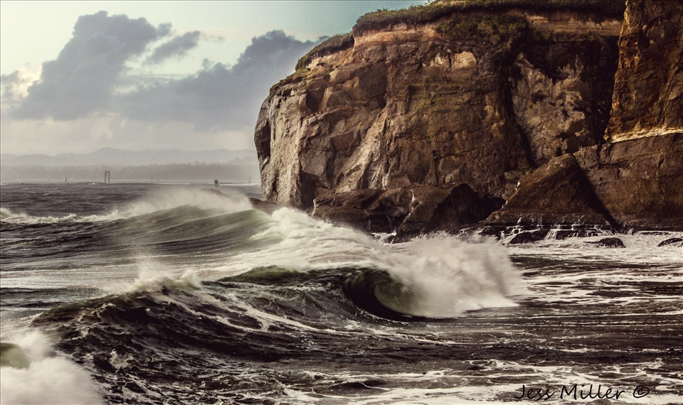 Waves 

Coos Head in Oregon. 