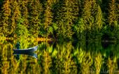 Peaceful man

This was shot on a beautiful early morning at Battle Ground Lake, WA This man looked peaceful on the still waters and had to capture the moment. : by honua, Views[229]