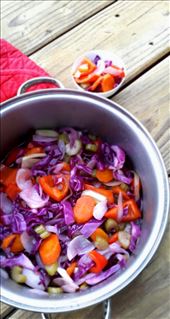Delicate pickled vegetables_Giardiniera: by hopenutrition, Views[262]