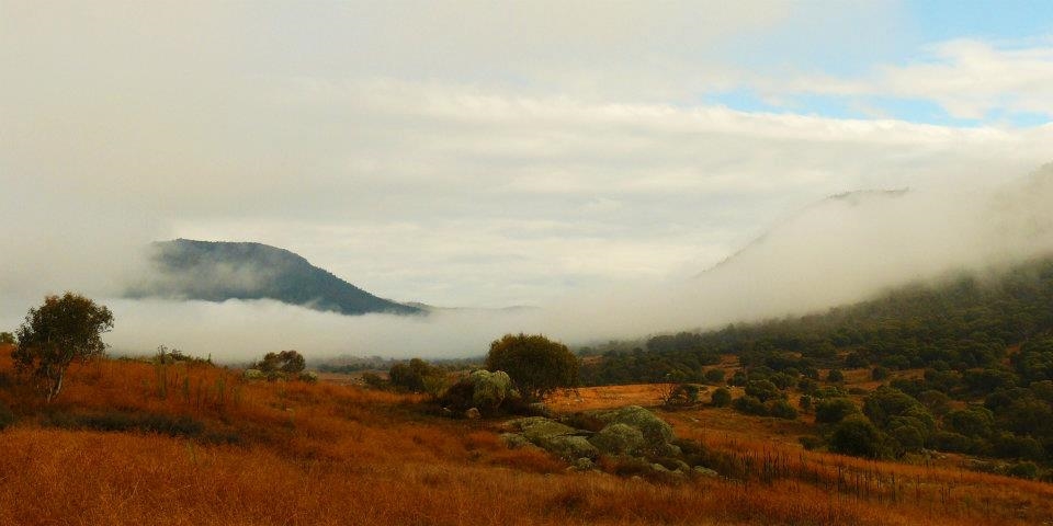 Early fog in the Rendezvous valley.