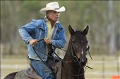 Communication between horse and rider is essential. Tom uses a number of audible, hand and leg ‘aides’ to communicate with the horse. Fast paced activities such as cattle work require the rider and horse to work together in order to be successful. A well-trained stockhorse will even be able to move and turn instinctively while on the job, without the slightest need for input from the rider. : by horsebreaker, Views[860]