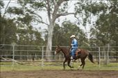 Often a solitary occupation, Horse breaking and training often involves up to sixteen hour days, seven days a week. Each horse receives careful attention and treatment in order to achieve best results. Tom is pictured riding ‘Brody’ during a warmup routine in the roundyard prior to commencing a training session. : by horsebreaker, Views[1379]