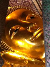 by hotmessexpress, Views[163]