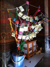 by hotmessexpress, Views[186]