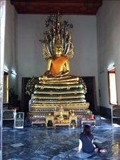 by hotmessexpress, Views[186]