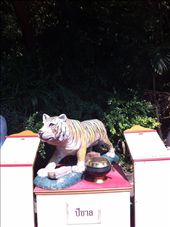 by hotmessexpress, Views[194]