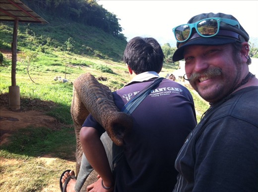 Reaching for more bananas :)