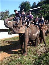 by hotmessexpress, Views[152]