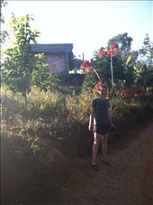 by hotmessexpress, Views[185]