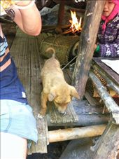 by hotmessexpress, Views[280]