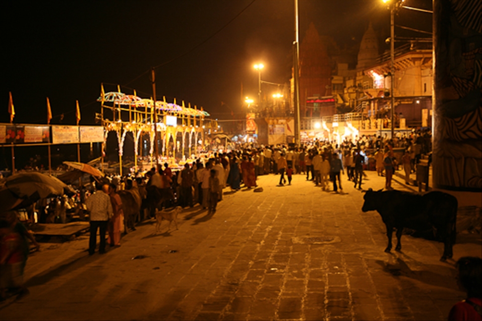 Cows are a very welcome and celebrated addition to the evening Puja ceremonies.
