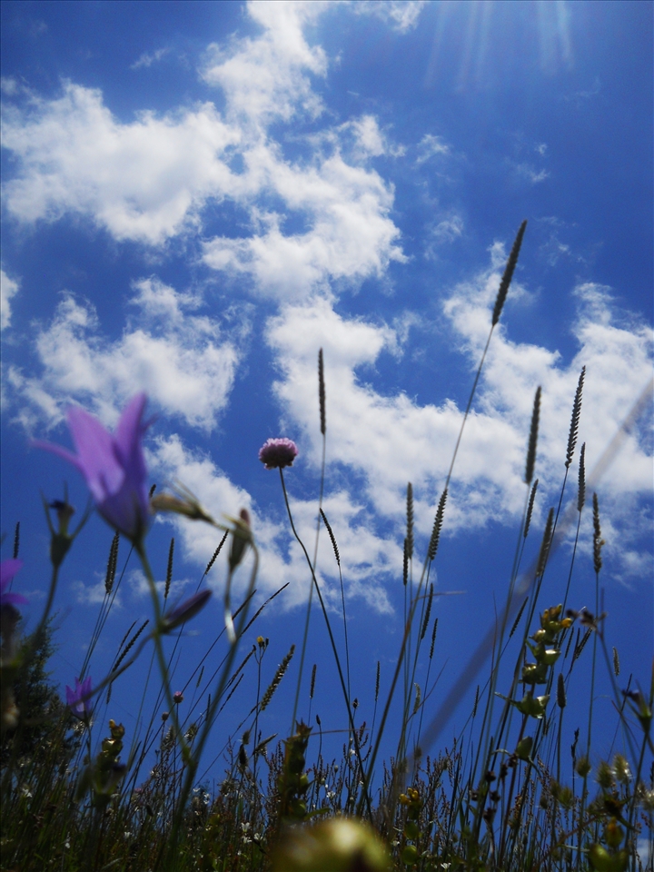 From below to above.. such a peacefulness 