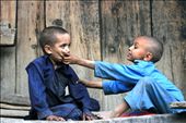 Two brothers fighting over small car-toi in Northern Pakistan, Kalash people val: by hrvoje, Views[1538]