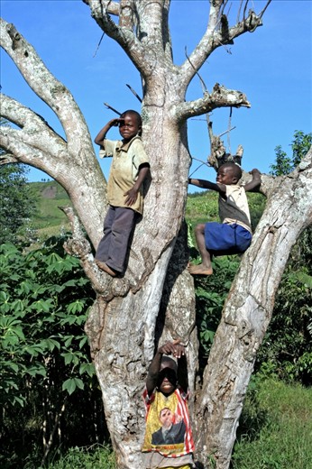In the turbulent eastern Congo children are playing in the tree. One has a T-shi