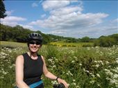 Circular Bike ride, Sevenoaks, Kent: by hummingbird, Views[240]