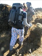 by hummingbird, Views[134]