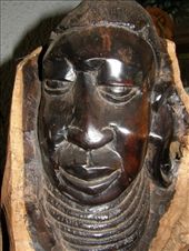 by hummingbird, Views[185]