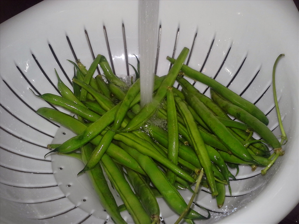 Green beans
