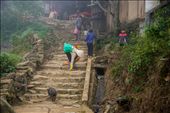 Village children welcoming visitors as a little piglet runs up the stairs.: by hungontheworld, Views[322]