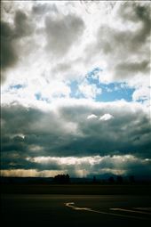 And it was time to go home: by hunt, Views[246]