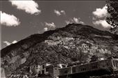 Of Kings and Kinships. Karsha Gompa, Ladakh. (Film): by hussainj, Views[356]