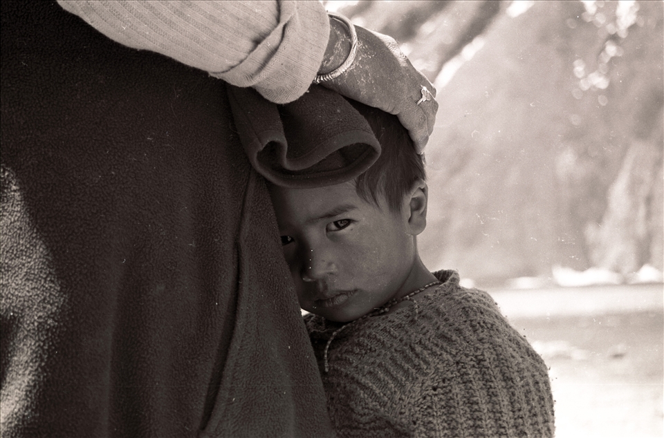 A Hope along with despair, The child gets folded in the mother's lab.(Film)