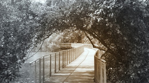 Pulau Ubin. An island of Singapore, she sits by herself as she welcomes the hordes of visitor to her hearth. 