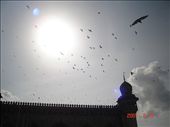 masjid: by hyderabad, Views[316]