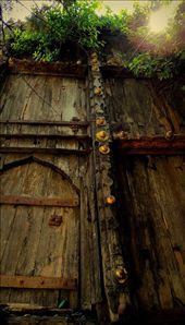 a huge antique door from a palace which was thrown on the streets: by hyderabad, Views[290]