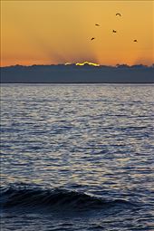 by hywel_williams, Views[239]