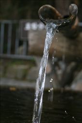 Purity of water, a part of Feng-shui Theory. : by i-beg-you-to-travel, Views[465]