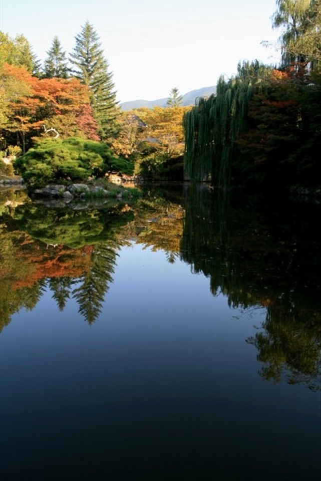 Reflection on water: fabulous nature.