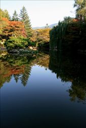 Reflection on water: fabulous nature.: by i-beg-you-to-travel, Views[627]