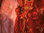 The bride in an Indian Wedding, New Delhi: by i_rohitsingh, Views[654]