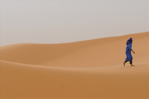 The Desert Navigator