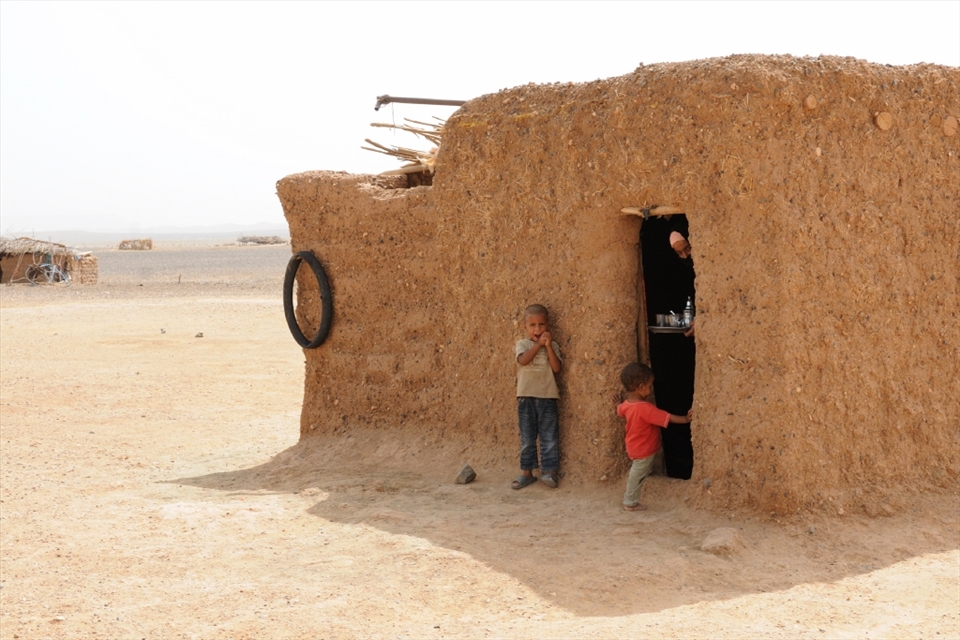 The Lady of the House