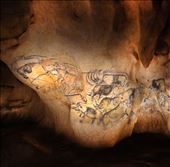 Caverne du Pont d'Arc: by iain_and_tamara, Views[280]