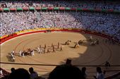 Arena Entry: by iain_and_tamara, Views[421]