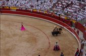 Picador gets charged: by iain_and_tamara, Views[439]