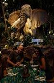 Rainforest Cafe: by iain_and_tamara, Views[215]