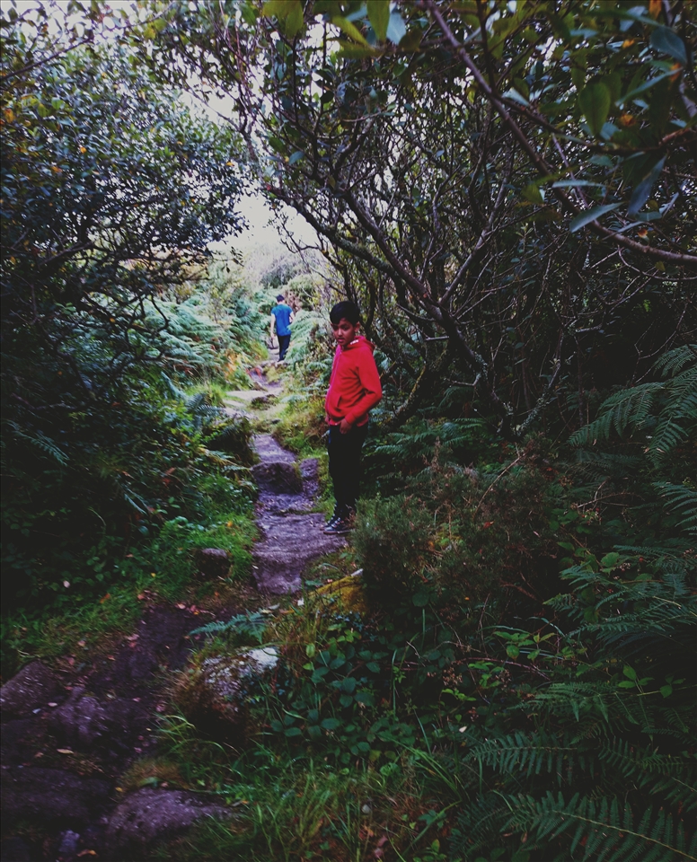 escape deep into the forest