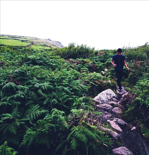 green is the kindest colour