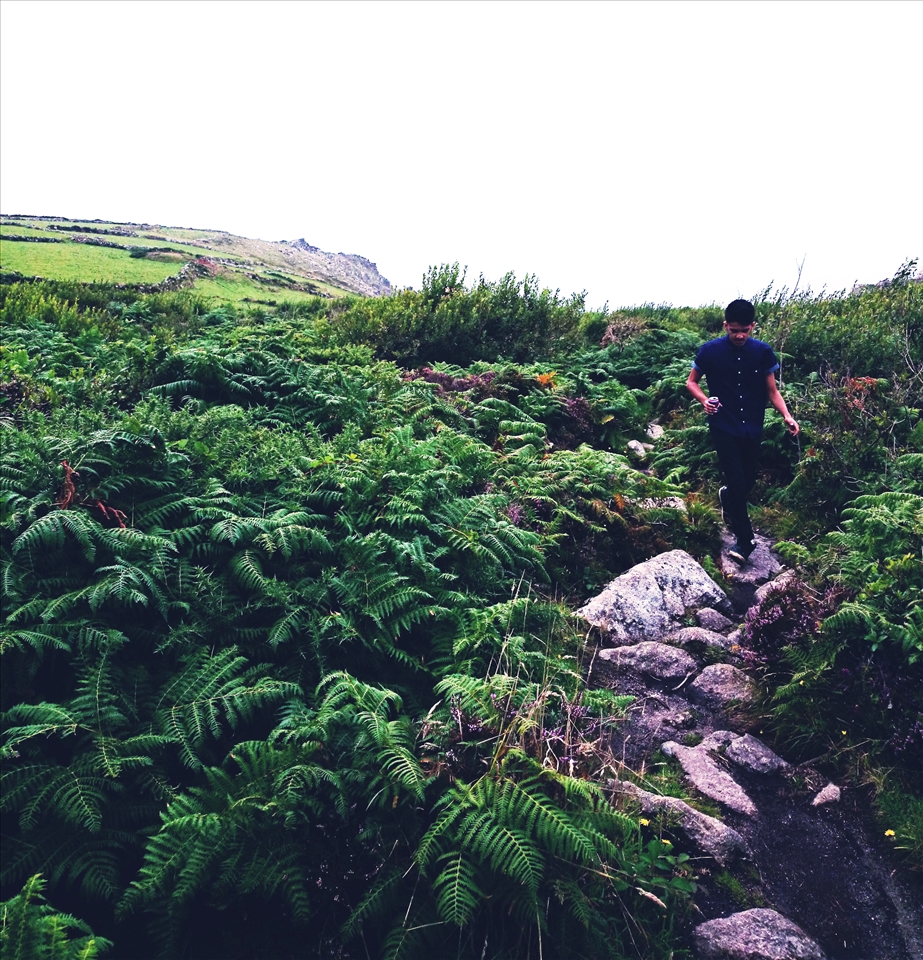 green is the kindest colour