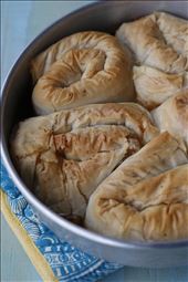 by iamamypennington, Views[271]