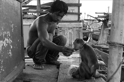 Friends can be found everywhere, including in slums coastal of Jakarta. A young fisherman gave an refreshment to a monkey. He never forgot to share food and drink to the monkey before going to the sea though it was not his. 