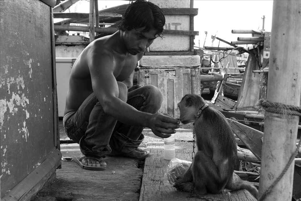 Friends can be found everywhere, including in slums coastal of Jakarta. A young fisherman gave an refreshment to a monkey. He never forgot to share food and drink to the monkey before going to the sea though it was not his. 