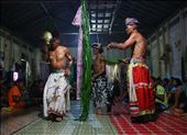 Three Balians from Muara Mea village dance while reciting spells to cure diseases. They could perform healing procession even up to 18 hours without stopping. They use natural materials taken from Gunung Lumut to heal diseases and for ceremonies. : by iamdreamcatcher, Views[971]