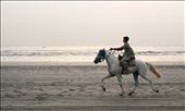 At dusk, a horse rider is seen galloping by the sea.
This moment is forever etched in my memory as it reminded me of the carefree days of my childhood. This young man  seemed to embody that freedom as he rode oblivious to the buzz of the city and its citizens. He seemed so free with each stride striking a musical note to one's ears. It was almost poetic...: by iamrahma, Views[1162]